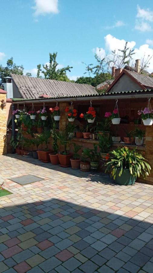 Guest House Zhanna Berehove  Esterno foto